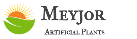 Meyjor